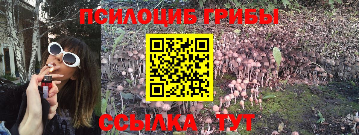 Псилоцибиновые грибы Magic Shrooms  Вход с VPN  Артём 