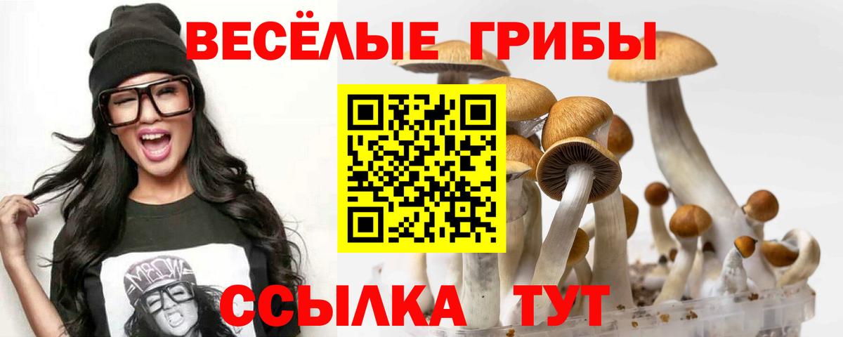 Галлюциногенные грибы GOLDEN TEACHER Артём